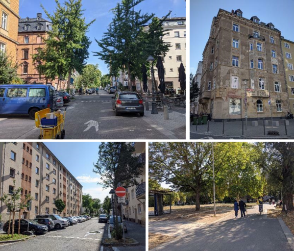 Verschieden Haustypen in der Neustadt, Gründerzeit bis 60er Jahre. Die Sonne scheint und an den Straßen stehen Bäume. 