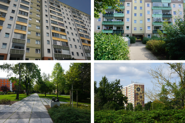 Collage mit vier Fotos aus Lichtenhagen. Wohnblöcke von 5 bis 10 Etagen, durchzogen von Grünflächen